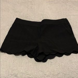 LOFT Riviera Short, Black, Size 14